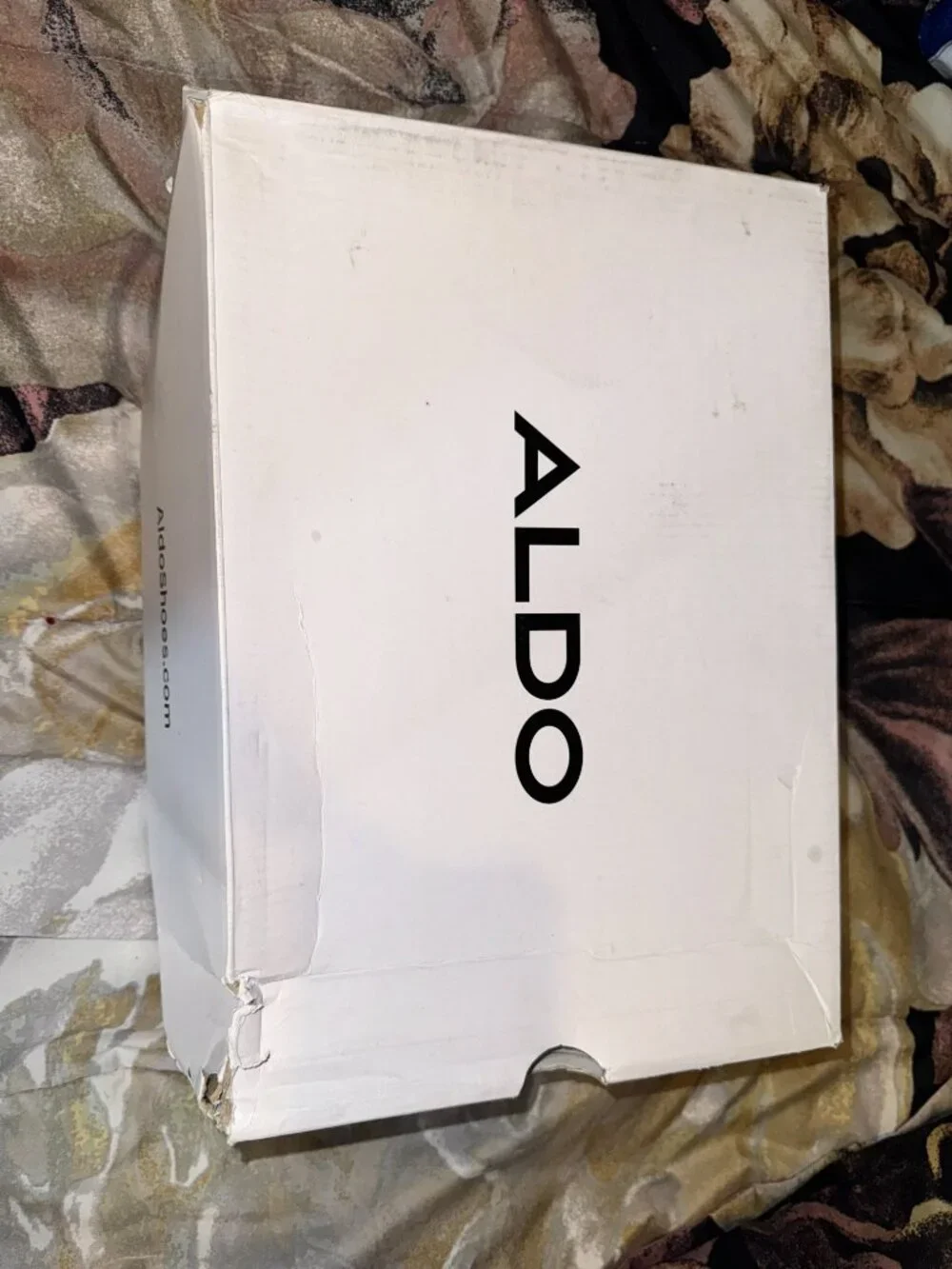 Aldo stunning aneissa